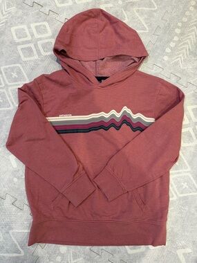 Patagonia Men’s Hoodie in Dusty Rose with Wave Stripe